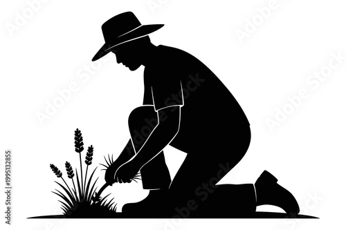 Farmer Silhouette Diligently Tending a Growing Wheat Crop Vector Illustration Graphic