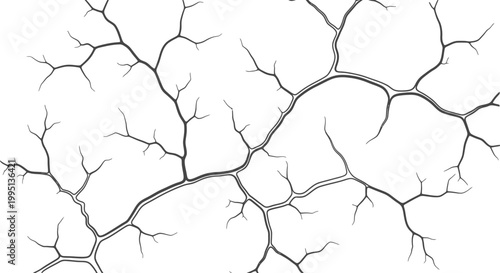 Abstract Black Cracks Pattern on Isolated White Background