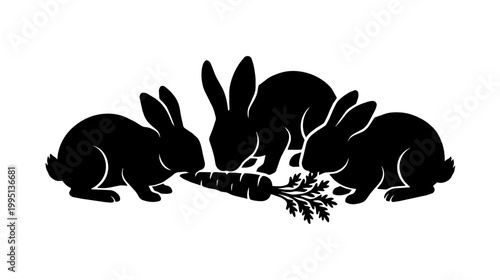Rabbits share a carrot on a studio background. Black silhouette composition creates a playful graphic mood.
