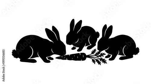Rabbits nibbling a carrot on studio background. Silhouette composition shows high contrast graphic style and playful mood.