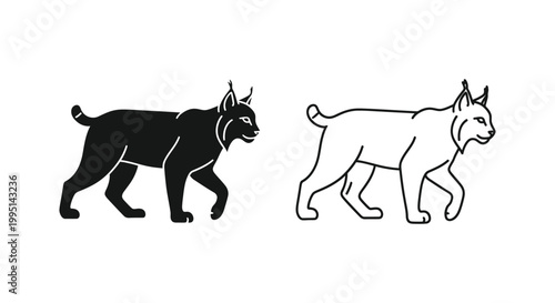 Wild Cat Breeds Comparison: Lynx vs Caracal Vector