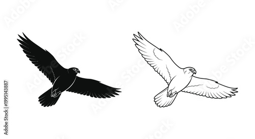 BlackAndWhiteBirdsFlightArtisticSilhouettes Vector