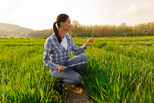 Photos Woman agronomist observing plant in green field, kneeling on the ground with cli