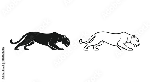 Black Panther vs Leopard: Wild Cats Comparison Vector
