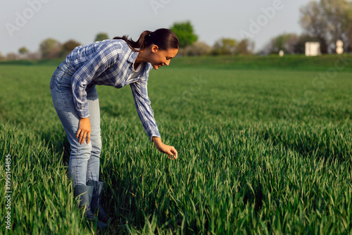Foto Agricultural quality control
