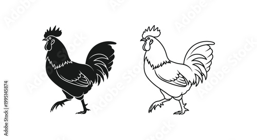 Rooster and Hen Vector Illustrations for Design Vector
