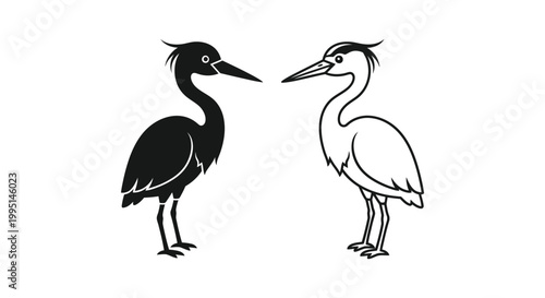 Black and White Bird Silhouettes: Elegant Nature Art Vector