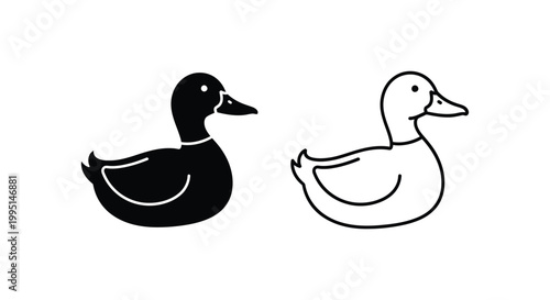 Black and White Ducks Vector Illustration Design Vector