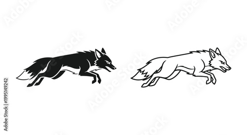Wolf vs Coyote Illustration Comparison Vector