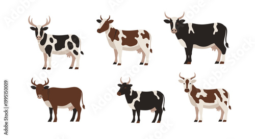 Cartoon cows colorful illustrations of domestic animals various breeds and poses