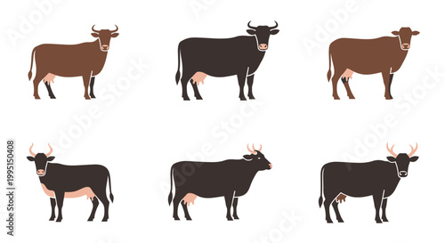Illustrated cows in various colors and poses isolated on white background