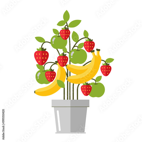 Illustrated potted lime tree isolated on white background for design assets