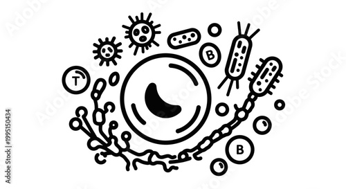 Illustrated scientific diagram of various microorganisms for educational or commercial use