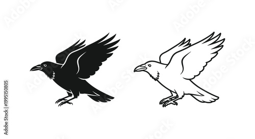 Elegant Black White Bird Silhouettes Design Vector Art Vector