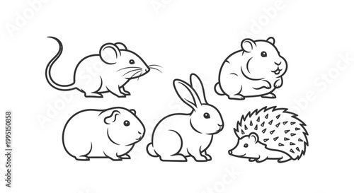 Outlined illustrations of various small animals isolated on white background