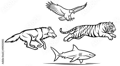 Wildlife animals running flying swimming isolated white background vector illustration