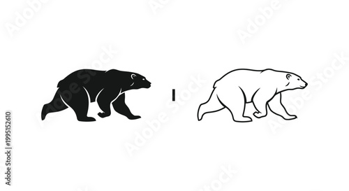 Black Bear vs Polar Bear: Key Differences & Facts Vector