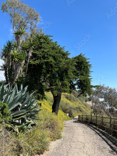 Pathway to the Pacific Ocean