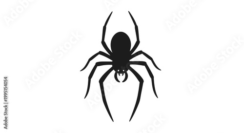 Fotografia Black Spider Silhouette on White Background.