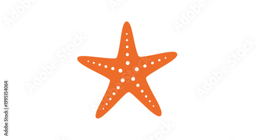 Orange Starfish with White Spots Isolated.