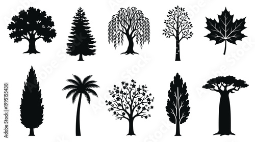 Diverse tree silhouettes displayed in nature botanical art outdoor environment artistic perspective