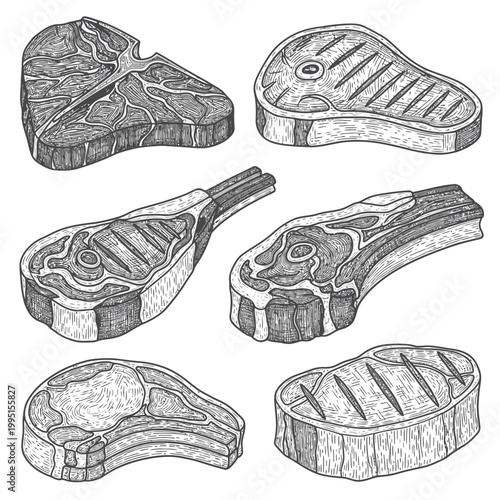 Assortment of Raw Meat Cuts, Steak and Lamb Chops, Hand-Drawn Sketch