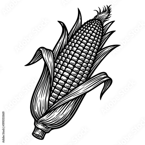Corn Cob Illustration, Black and White, Vintage Style
