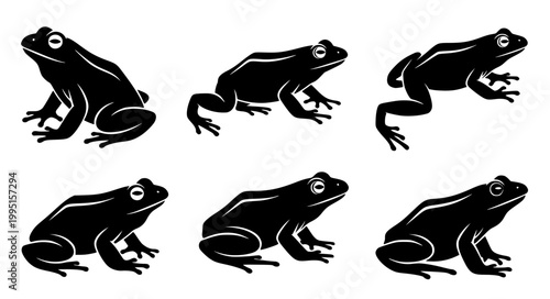 Frog Silhouette Vector Set Amphibian Animal Poses Black Illustration Collection