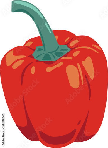 Red Bell Pepper Illustration
