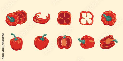 Red Bell Pepper Illustration