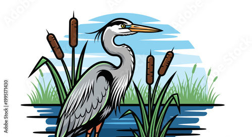 Great Blue Heron Standing in Cattails by Water