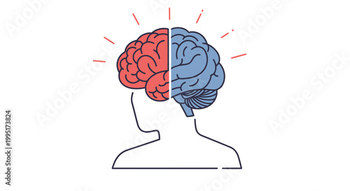 Human Brain Divided, Left and Right Hemisphere, Thought Process, Creativity, Logic