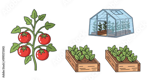 Tablou pe pânză Gardening collage: Tomato plant, greenhouse, raised garden beds with seedlings