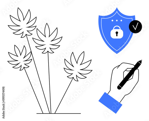 Data security concept. Data security symbols include lock shield, cannabis icons, and verification checkmark. Data security protecting privacy, compliance, and intellectual property. For tech, legal
