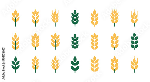 Wheat and Barley Icons Set: Agriculture and Food Symbols on White Background