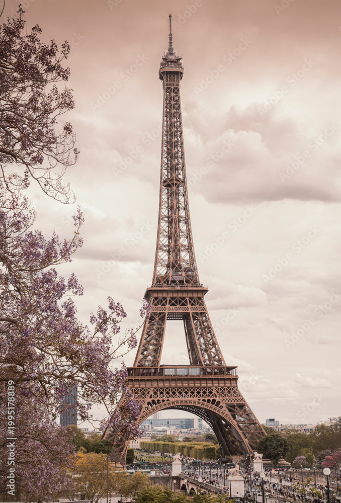 Obraz premium Tour eiffel, paris, france