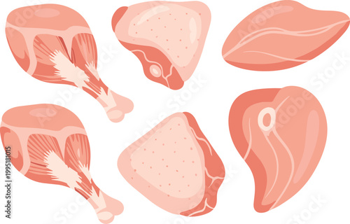 Meat cuts set beef steak bacon and chicken pieces collection butcher food vector illustration isolated