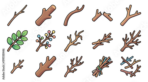 A collection of various types of twigs and branches, some with leaves and berries, presented in a grid format.