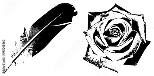 Graphic art featuring stylized quill feather and blooming rose rendered in high contrast inked drawing, linocut aesthetic, printmaking style.