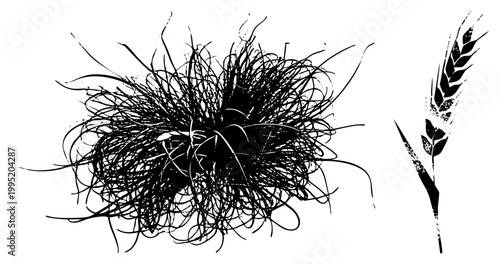 Abstract botanical illustration featuring tangled grass tuft and stylized grain stalk, ideal for rustic design or agricultural branding, glyph art.