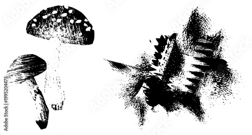 Toxic fly agaric fungus illustration, poisonous toadstool graphic, forest floor flora, black and white ink wash art, hand drawn mycological design.