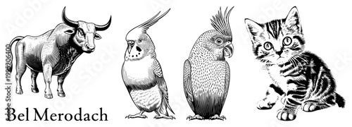 Etched wildlife collection featuring bovine, parrots, and classic zoological drawings with shading, ideal for tattoo or print design.