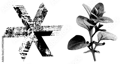 Stylized plant sprig rendered in halftone dot beside textured abstract star shape, vintage print aesthetic, retro graphic design, screen printed motif.