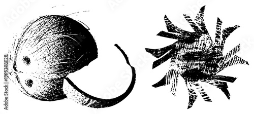 Stylized coconut half and spiky rendered in halftone texture, beach set, tropical cutout graphic, vector marine motif, vintage woodcut aesthetic.