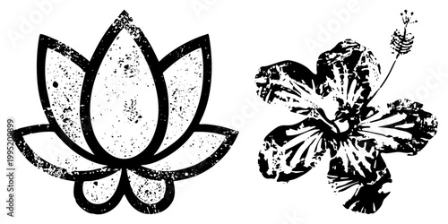 Stylized lotus bloom and hibiscus flower in distressed vector format, ideal for tattoo designs, spiritual branding, or boho decor also called water lily symbol and tropical blossom.