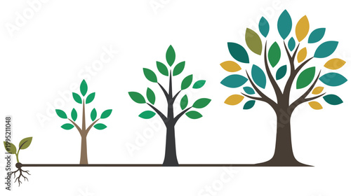 Growth stages of tree from seedling to large plant environmental concept graphic.