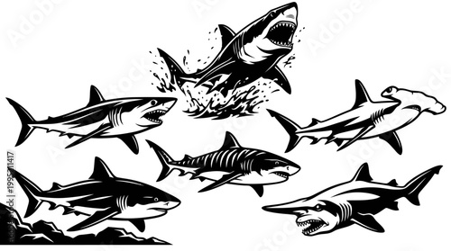 Black and White Vector Line Art Set of Marine Life Sharks: Great White, Hammerhead, Mako, Sawshark, Tiger Shark