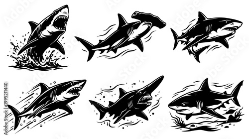 Black and White Marine Life Sharks Vector Line Art Collection - Aggressive Ocean Predator Set