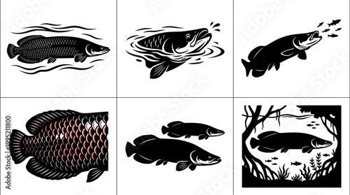Arowana Fish and Predator Fish Silhouette Line Art Vector Collection for Fishing  Wildlife