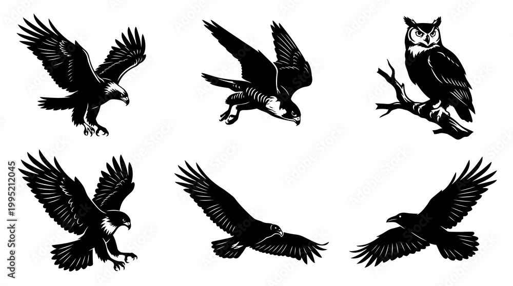 Fototapeta premium Black and White Vector Illustration of Birds of Prey in Flight